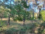Terrain à bâtir à Barjols (83670) 2109467-9879annonce220250318PxJew.jpeg PCA Maisons