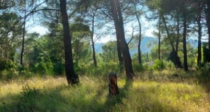 Barjols Maison neuve - 2109469-9879annonce320250318fipTp.jpeg PCA Maisons