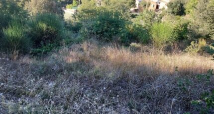 Barjols Terrain à bâtir - 2109640-9879annonce2202503183OaGC.jpeg PCA Maisons