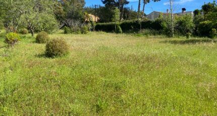Six-Fours-les-Plages Maison neuve - 2177240-10025annonce820250602W0cK3.jpeg PCA Maisons