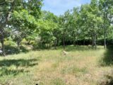 Terrain à bâtir à Régusse (83630) 2181389-9891annonce120250605Ew8lN.jpeg PCA Maisons