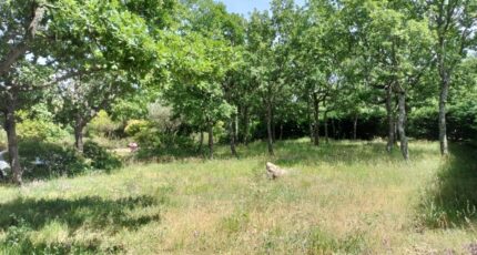 Régusse Terrain à bâtir - 2181389-9891annonce120250605Ew8lN.jpeg PCA Maisons