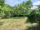 Terrain à bâtir à Régusse (83630) 2181389-9891annonce220250605XdhT3.jpeg PCA Maisons