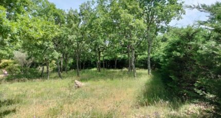 Régusse Terrain à bâtir - 2181389-9891annonce220250605XdhT3.jpeg PCA Maisons