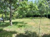Terrain à bâtir à Régusse (83630) 2181389-9891annonce3202506052omiJ.jpeg PCA Maisons