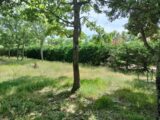 Terrain à bâtir à Régusse (83630) 2181389-9891annonce420250605fFm8X.jpeg PCA Maisons
