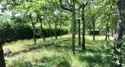Régusse Terrain à bâtir - 2181389-9891annonce220250605TcOoI.jpeg PCA Maisons
