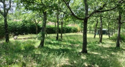 Régusse Terrain à bâtir - 2181389-9891annonce420250605HEiIq.jpeg PCA Maisons