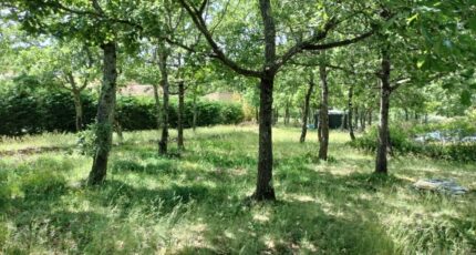 Régusse Maison neuve - 2181397-9891annonce720250605W3vFg.jpeg PCA Maisons