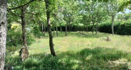 Régusse Maison neuve - 2181437-9891annonce920250605CLJO8.jpeg PCA Maisons