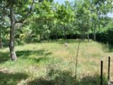 Maison à construire à Régusse (83630) 2181463-9891annonce620250605PTLv0.jpeg PCA Maisons
