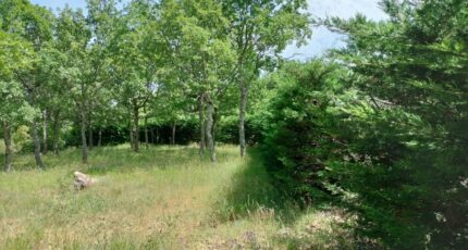 Régusse Maison neuve - 2181463-9891annonce820250605UOtdn.jpeg PCA Maisons