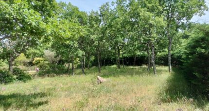 Régusse Maison neuve - 2181463-9891annonce920250605mgrJa.jpeg PCA Maisons