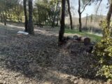 Terrain à bâtir à Brignoles (83170) 2183953-9879annonce420250606M5mRf.jpeg PCA Maisons
