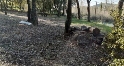 Brignoles Terrain à bâtir - 2183953-9879annonce420250606M5mRf.jpeg PCA Maisons