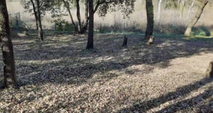 Brignoles Terrain à bâtir - 2183953-9879annonce3202506064wLLT.jpeg PCA Maisons