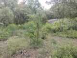 Terrain à bâtir à Flassans-sur-Issole (83340) 2184862-9891annonce1202506091mpb3.jpeg PCA Maisons