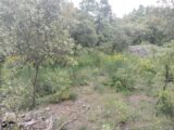 Terrain à bâtir à Flassans-sur-Issole (83340) 2184862-9891annonce220250609Z9aMk.jpeg PCA Maisons