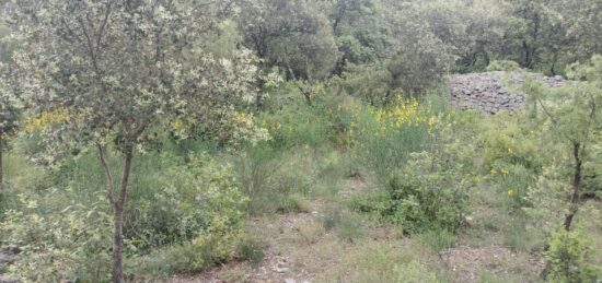 Terrain à bâtir à , Var