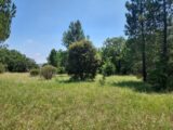Terrain à bâtir à Le Luc (83340) 2184941-9891annonce420250609rphet.jpeg PCA Maisons