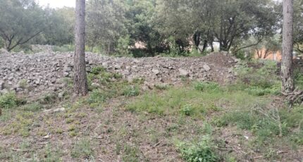 Flassans-sur-Issole Maison neuve - 2184866-9891annonce1020250609AIA77.jpeg PCA Maisons