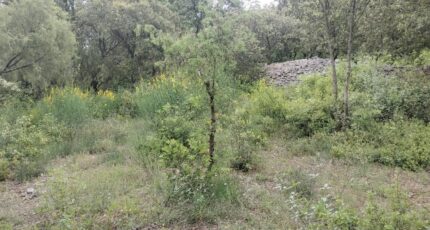 Flassans-sur-Issole Maison neuve - 2184866-9891annonce1020250609GVW0V.jpeg PCA Maisons