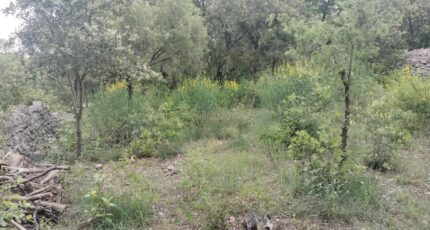 Flassans-sur-Issole Maison neuve - 2184866-9891annonce5202506093HgNl.jpeg PCA Maisons