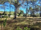 Terrain à bâtir à Montfort-sur-Argens (83570) 2187435-9879annonce420250611mrFiG.jpeg PCA Maisons