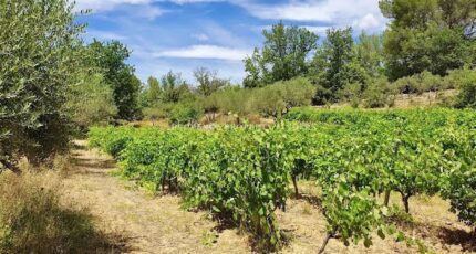 Montfort-sur-Argens Maison neuve - 2187773-10025annonce220250611yshvH.jpeg PCA Maisons