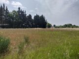 Terrain à bâtir à Aups (83630) 2193640-9891annonce320250616mVmXA.jpeg PCA Maisons