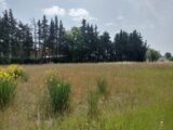 Terrain à bâtir à Aups (83630) 2193640-9891annonce420250616OxPI6.jpeg PCA Maisons
