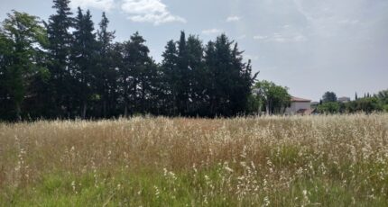 Aups Maison neuve - 2193645-9891annonce220250616sTgyp.jpeg PCA Maisons