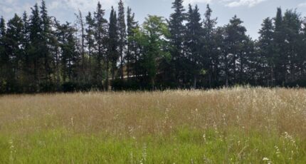 Aups Maison neuve - 2193645-9891annonce72025061656FdN.jpeg PCA Maisons