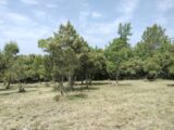 Terrain à bâtir à Baudinard-sur-Verdon (83630) 2201990-9891annonce120250623gtMDT.jpeg PCA Maisons