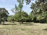 Terrain à bâtir à Baudinard-sur-Verdon (83630) 2201990-9891annonce420250623T91aK.jpeg PCA Maisons