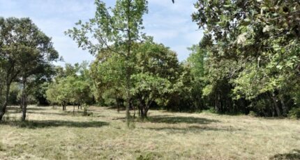 Baudinard-sur-Verdon Terrain à bâtir - 2201990-9891annonce420250623T91aK.jpeg PCA Maisons