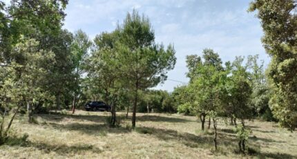 Baudinard-sur-Verdon Maison neuve - 2201995-9891annonce520250623ULylD.jpeg PCA Maisons