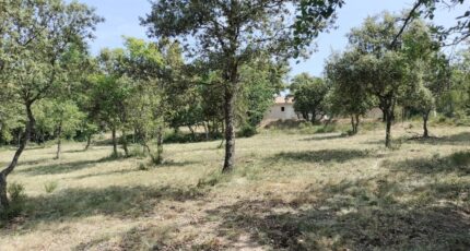Baudinard-sur-Verdon Maison neuve - 2201995-9891annonce120250623cZXua.jpeg PCA Maisons