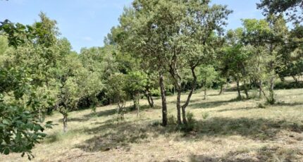 Baudinard-sur-Verdon Maison neuve - 2201995-9891annonce2202506239oJqM.jpeg PCA Maisons