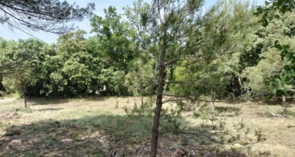 Baudinard-sur-Verdon Maison neuve - 2201995-9891annonce320250623XqE9n.jpeg PCA Maisons