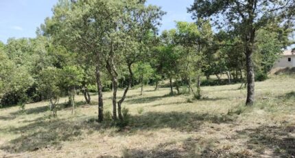 Baudinard-sur-Verdon Maison neuve - 2201995-9891annonce5202506230TJwe.jpeg PCA Maisons