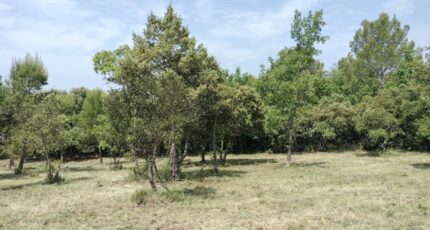 Baudinard-sur-Verdon Maison neuve - 2201995-9891annonce120250623gtMDT.jpeg PCA Maisons