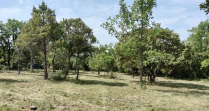 Baudinard-sur-Verdon Maison neuve - 2201995-9891annonce320250623SkA4s.jpeg PCA Maisons