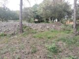 Terrain à bâtir à Flassans-sur-Issole (83340) 2167817-9891annonce320250523vUdOD.jpeg PCA Maisons