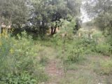 Terrain à bâtir à Flassans-sur-Issole (83340) 2167817-9891annonce4202505238qdvi.jpeg PCA Maisons