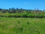 Terrain à bâtir à Tourves (83170) 2140930-9879annonce220250425WJg07.jpeg PCA Maisons