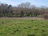Terrain à bâtir à Fox-Amphoux (83670) 2152827-9879annonce120250512oaZOH.jpeg PCA Maisons