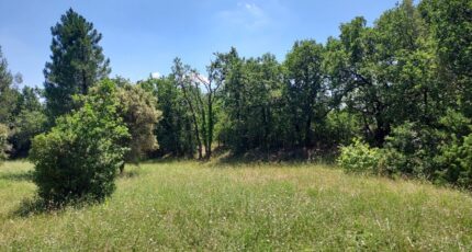 Le Luc Maison neuve - 2220519-9891annonce420250710dARwD.jpeg PCA Maisons