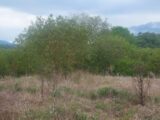 Terrain à bâtir à Barjols (83670) 2134490-9879annonce120250416cmcVy.jpeg PCA Maisons
