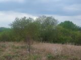 Terrain à bâtir à Barjols (83670) 2134490-9879annonce3202504163OACv.jpeg PCA Maisons